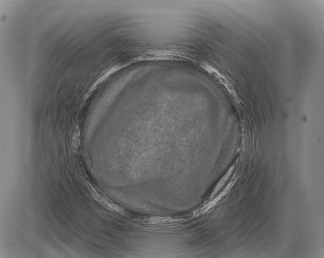 X0000081561449200702051137