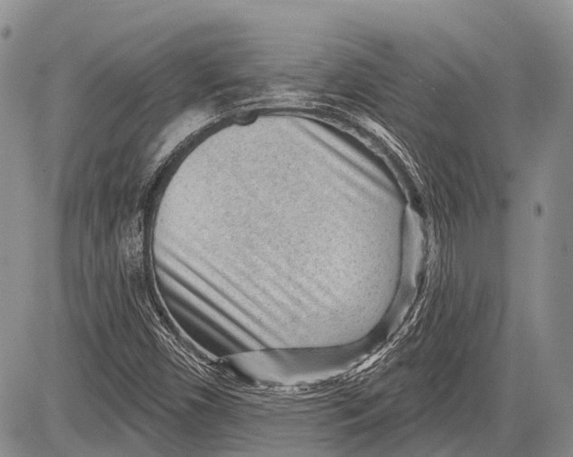 X0000081561450200702051137