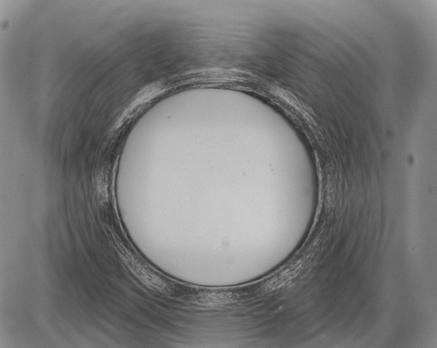 X0000081561451200702051137