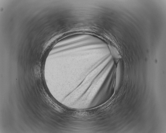 X0000081561452200702051137