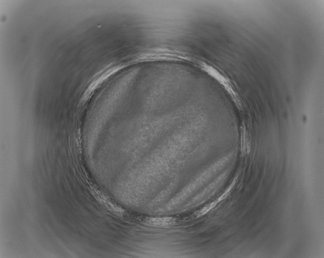 X0000081561453200702051137