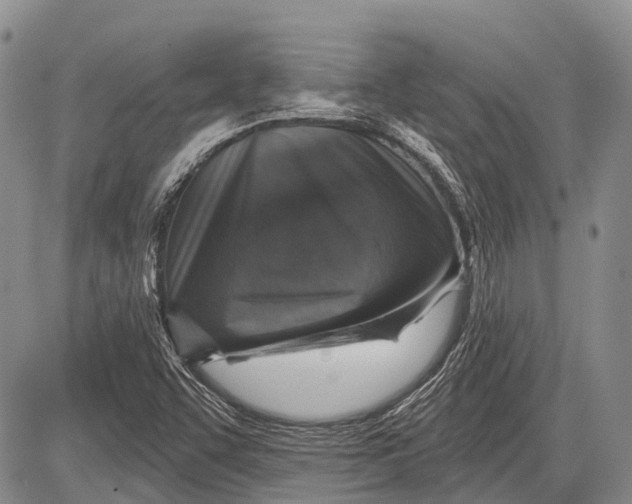 X0000081561455200702051137