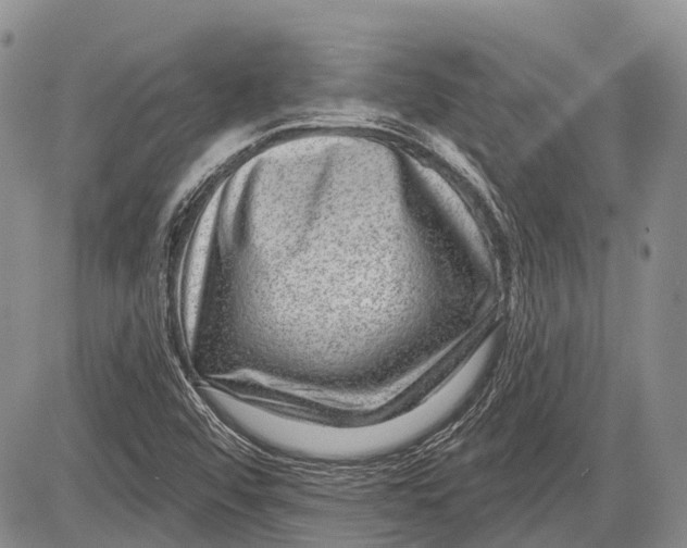 X0000081561456200702051137