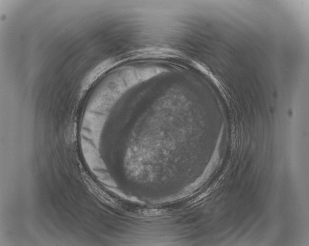 X0000081561459200702051137