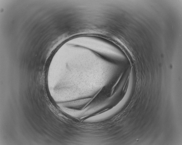 X0000081561460200702051137