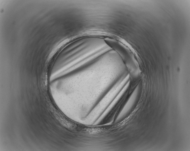 X0000081561461200702051137