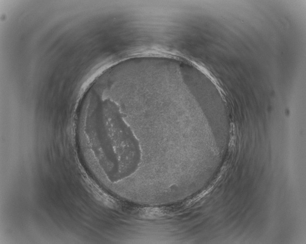 X0000081561463200702051137