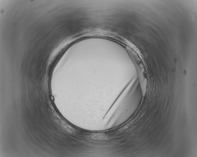 X0000081561464200702051137