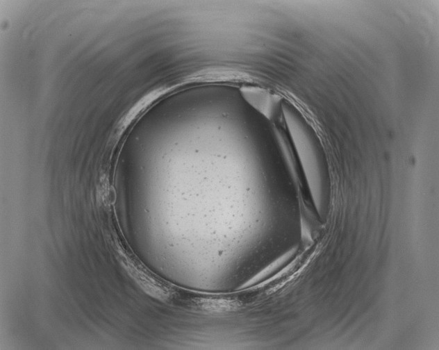 X0000081561465200702051137