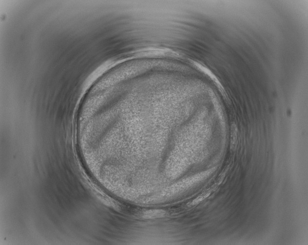 X0000081561467200702051137