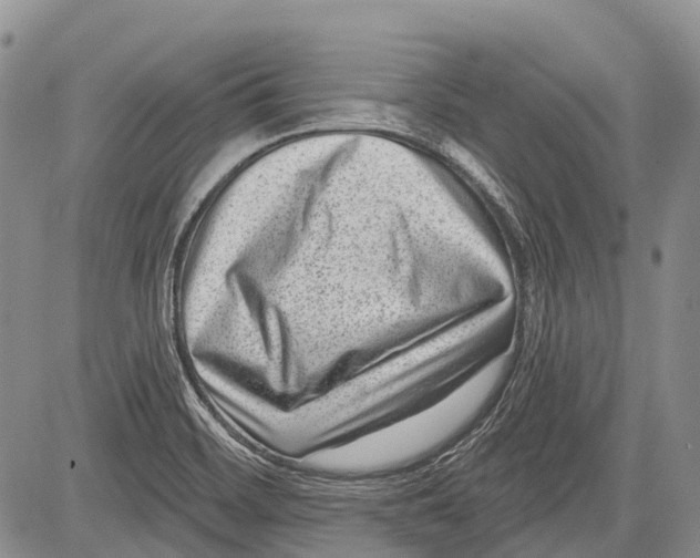 X0000081561468200702051137