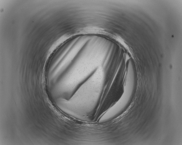 X0000081561469200702051137