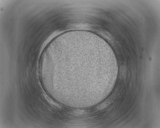 X0000081561470200702051137