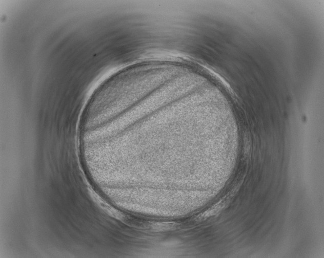 X0000081561471200702051137