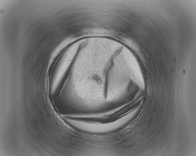 X0000081561472200702051137