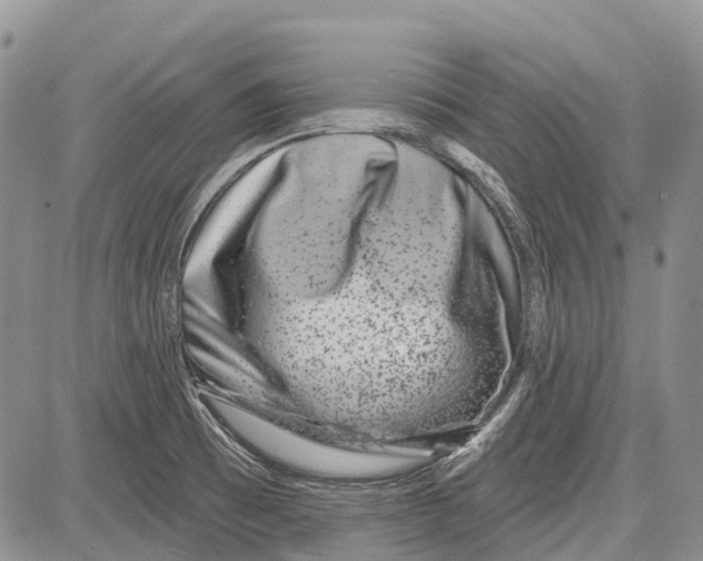 X0000081561473200702051137