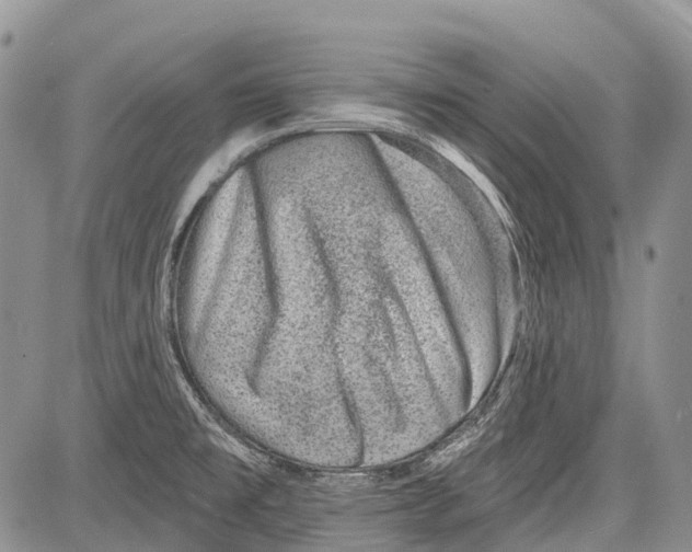 X0000081561477200702051137