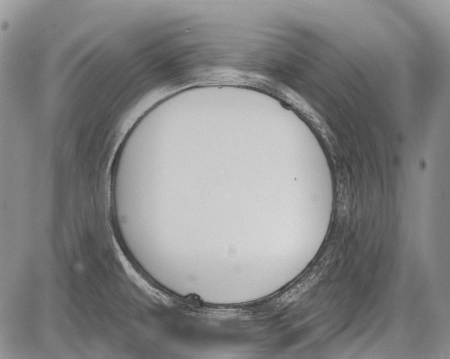 X0000081561479200702051137