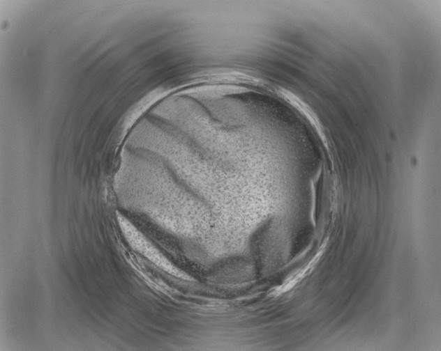 X0000081561481200702051137