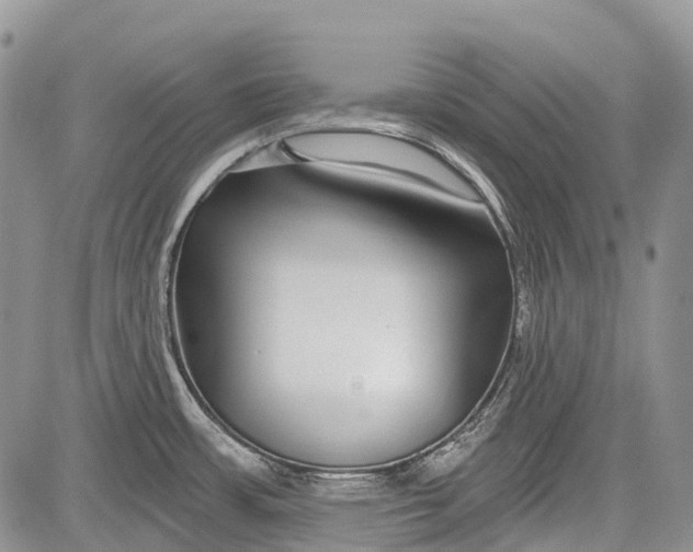 X0000081561483200702051137