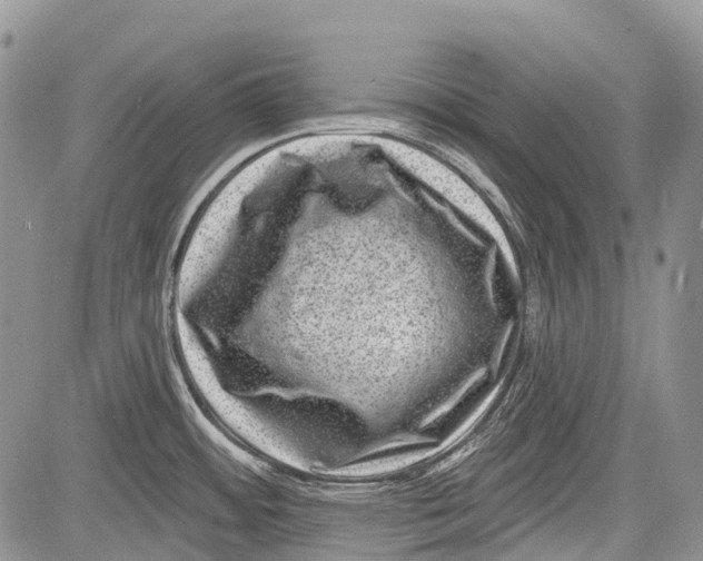 X0000081561484200702051137