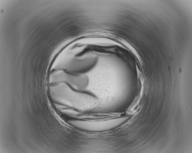 X0000081561485200702051137