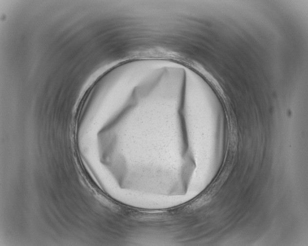 X0000081561486200702051137