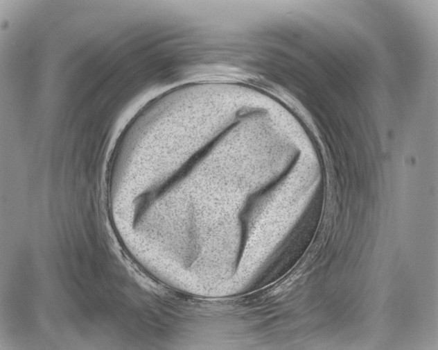 X0000081561488200702051137