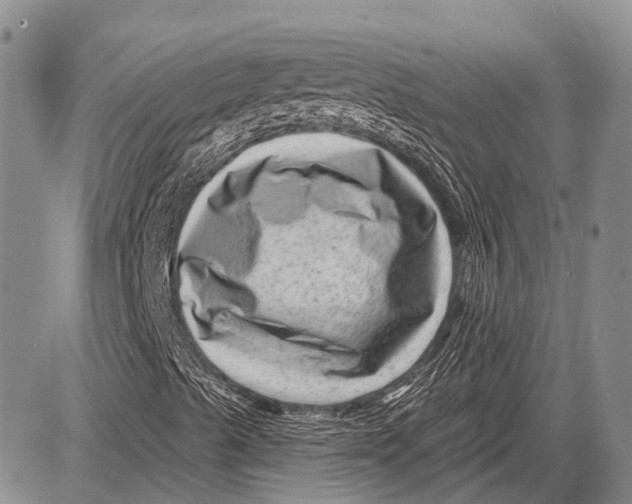 X0000081561489200702051136