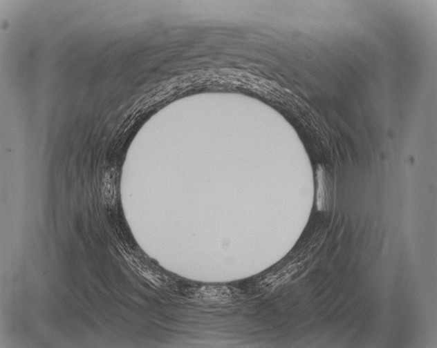 X0000081561491200702051136