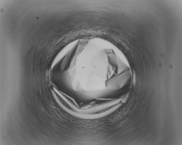 X0000081561492200702051136