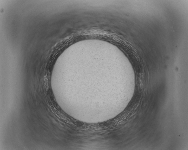 X0000081561493200702051136