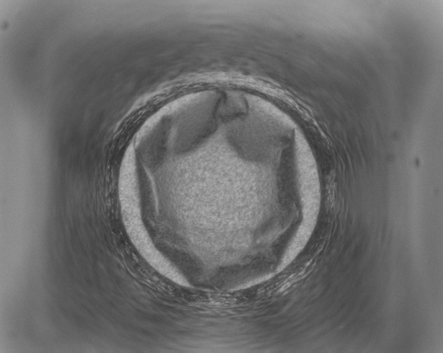 X0000081561494200702051136