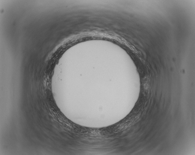 X0000081561495200702051136