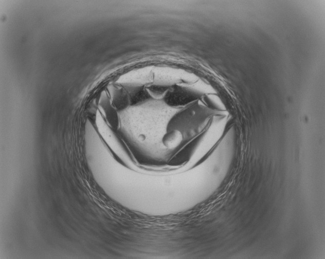 X0000081561496200702051136