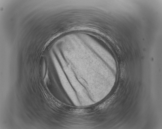 X0000081561497200702051136