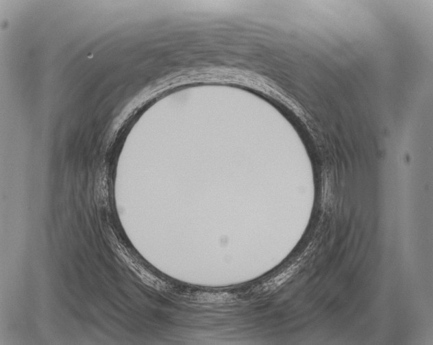 X0000081561498200702051136