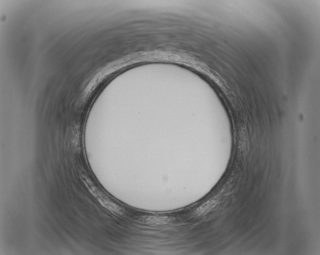 X0000081561499200702051136