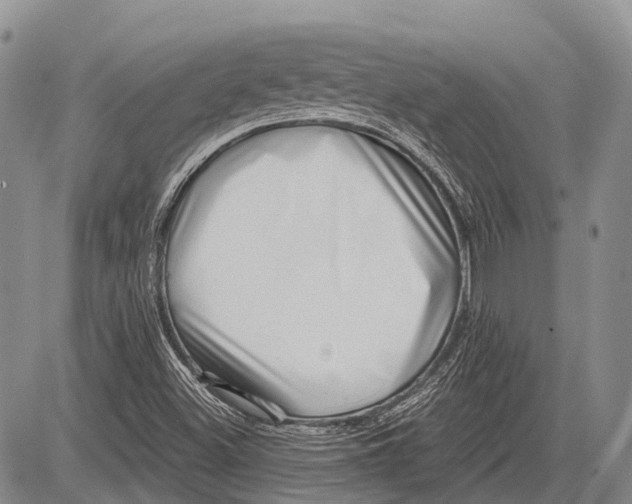 X0000081561500200702051136