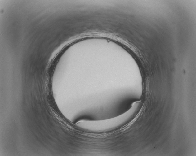 X0000081561502200702051136