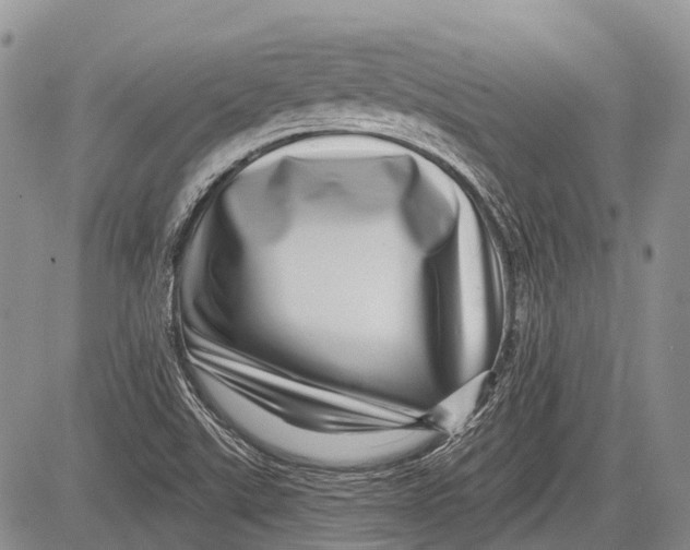 X0000081561507200702051136