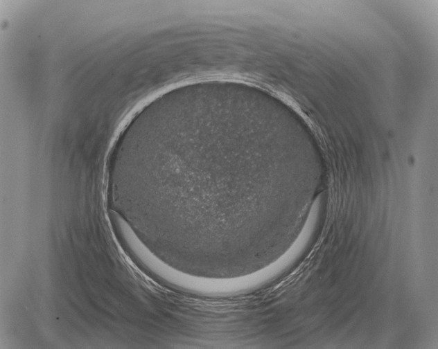 X0000081561508200702051136