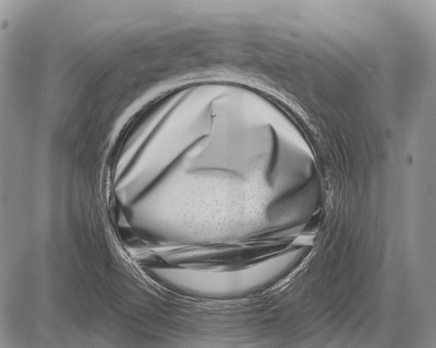 X0000081561510200702051136