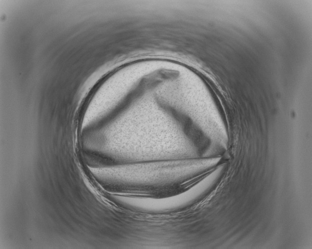 X0000081561511200702051136