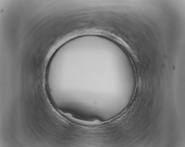 X0000081561512200702051136