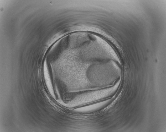 X0000081561513200702051136