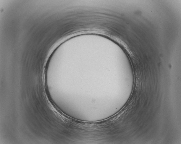 X0000081561516200702051136