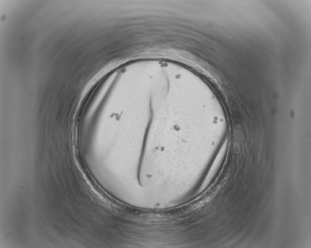 X0000081561517200702051136