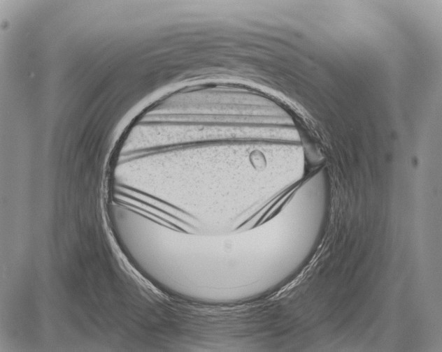 X0000081561518200702051136