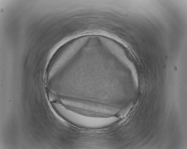 X0000081561519200702051136